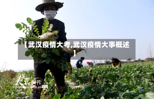 【武汉疫情大考,武汉疫情大事概述】