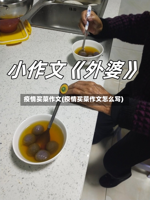 疫情买菜作文(疫情买菜作文怎么写)