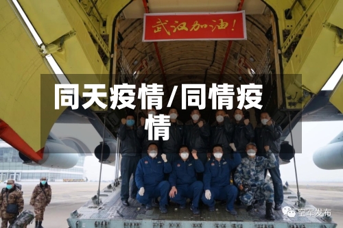 同天疫情/同情疫情