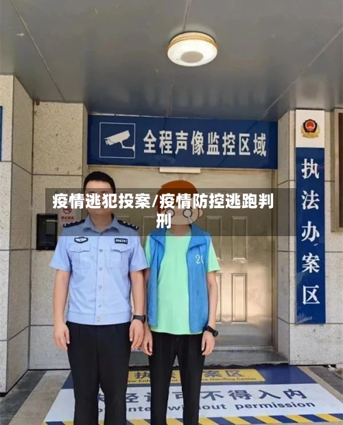 疫情逃犯投案/疫情防控逃跑判刑