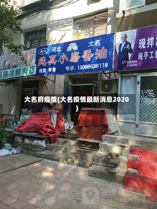 大名府疫情(大名疫情最新消息2020)
