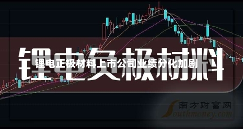 锂电正极材料上市公司业绩分化加剧