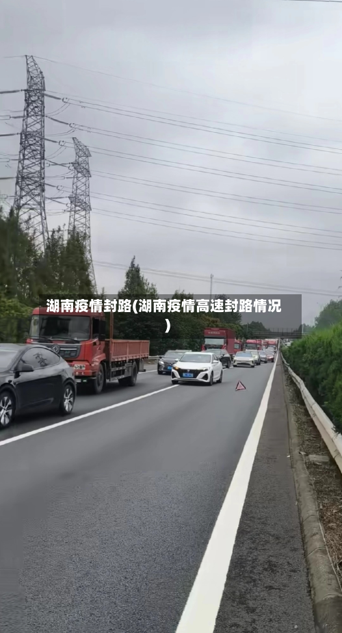 湖南疫情封路(湖南疫情高速封路情况)