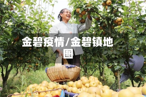 金碧疫情/金碧镇地图