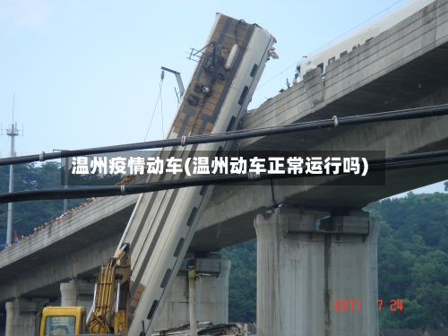 温州疫情动车(温州动车正常运行吗)