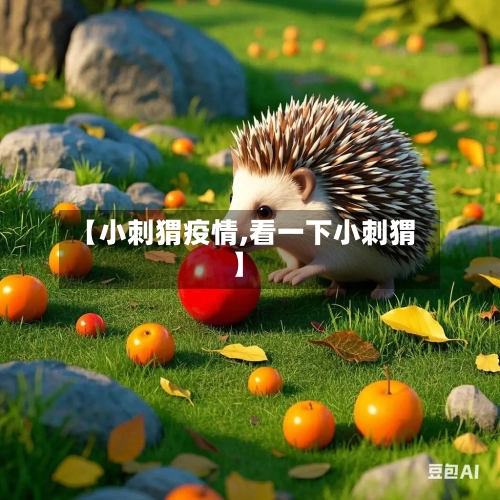 【小刺猬疫情,看一下小刺猬】