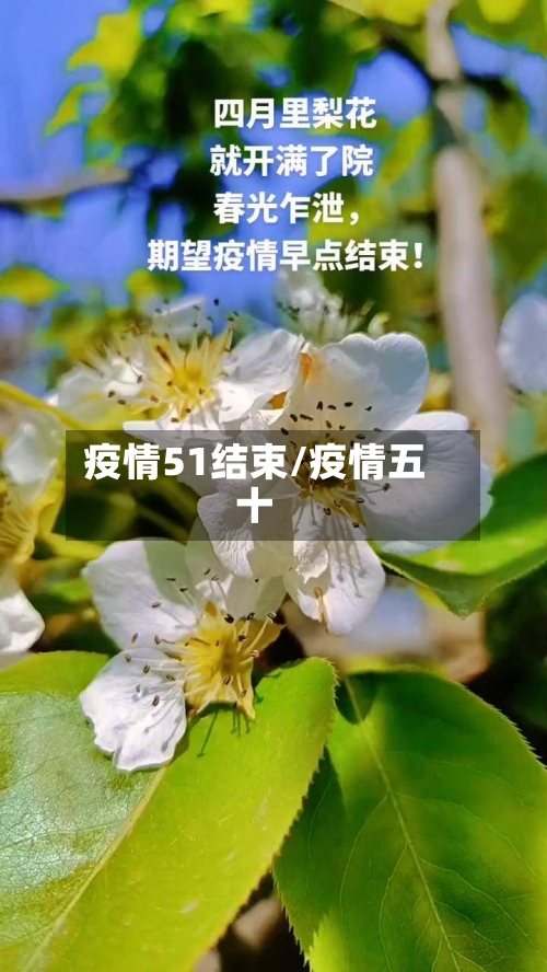 疫情51结束/疫情五十