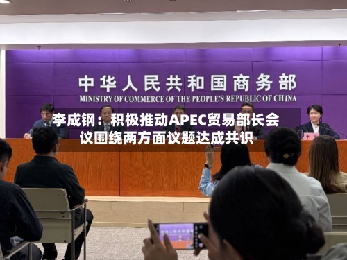 李成钢：积极推动APEC贸易部长会议围绕两方面议题达成共识