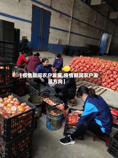 【疫情期间农户发展,疫情期间农户发展方向】