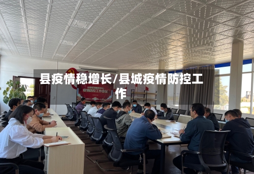 县疫情稳增长/县城疫情防控工作