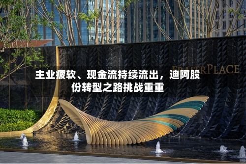 主业疲软、现金流持续流出,迪阿股份转型之路挑战重重